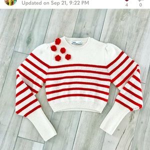 Zara crop top sweater